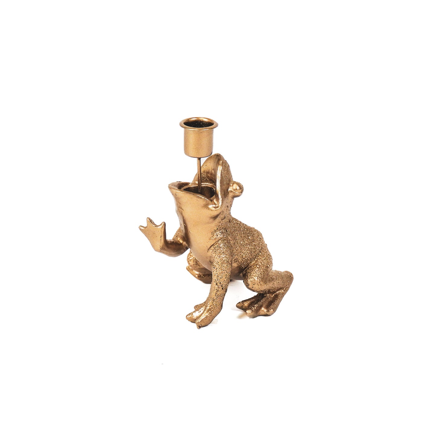 HV Kikkerprins Goud 10,5x14x11cm