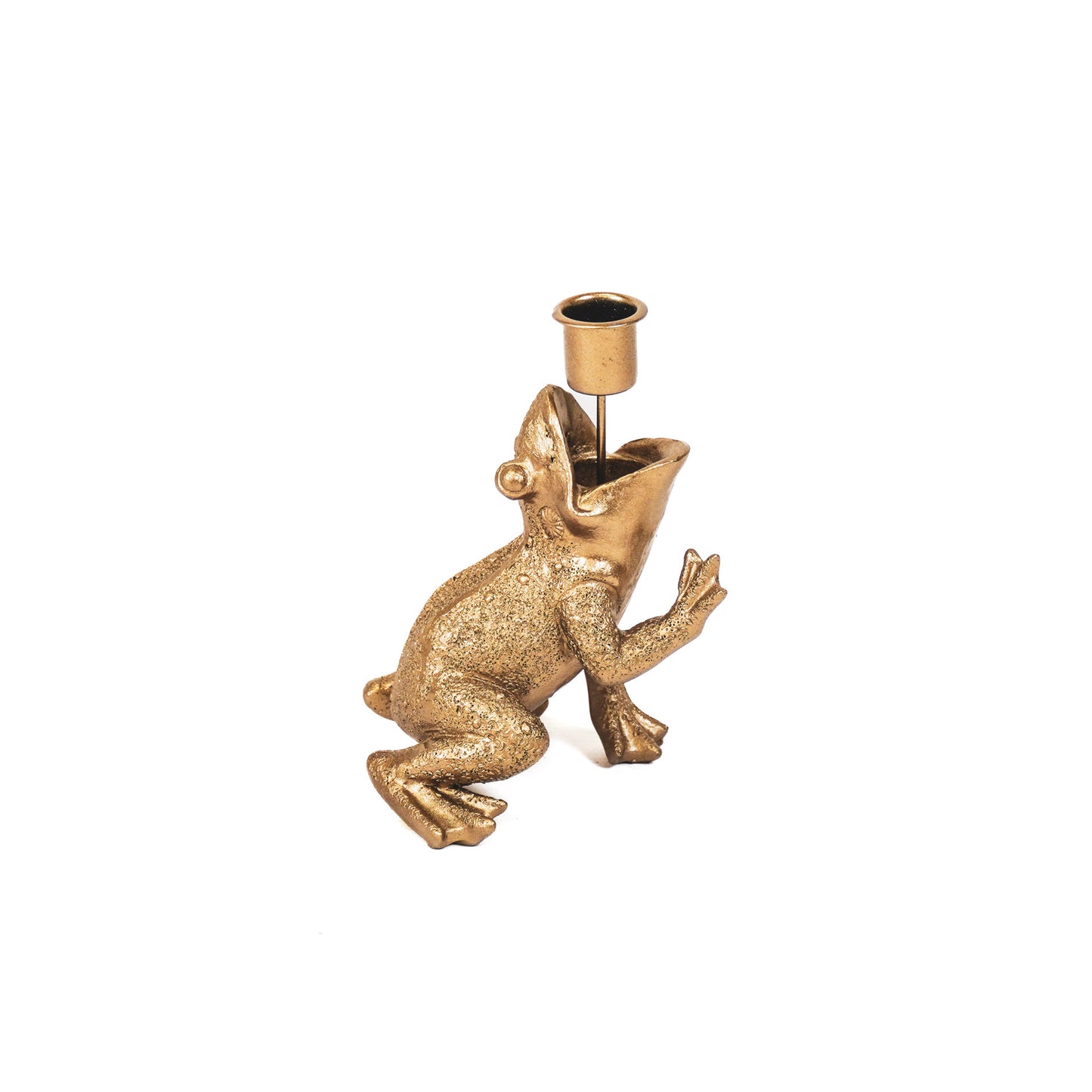 HV Kikkerprins Goud 10,5x14x11cm