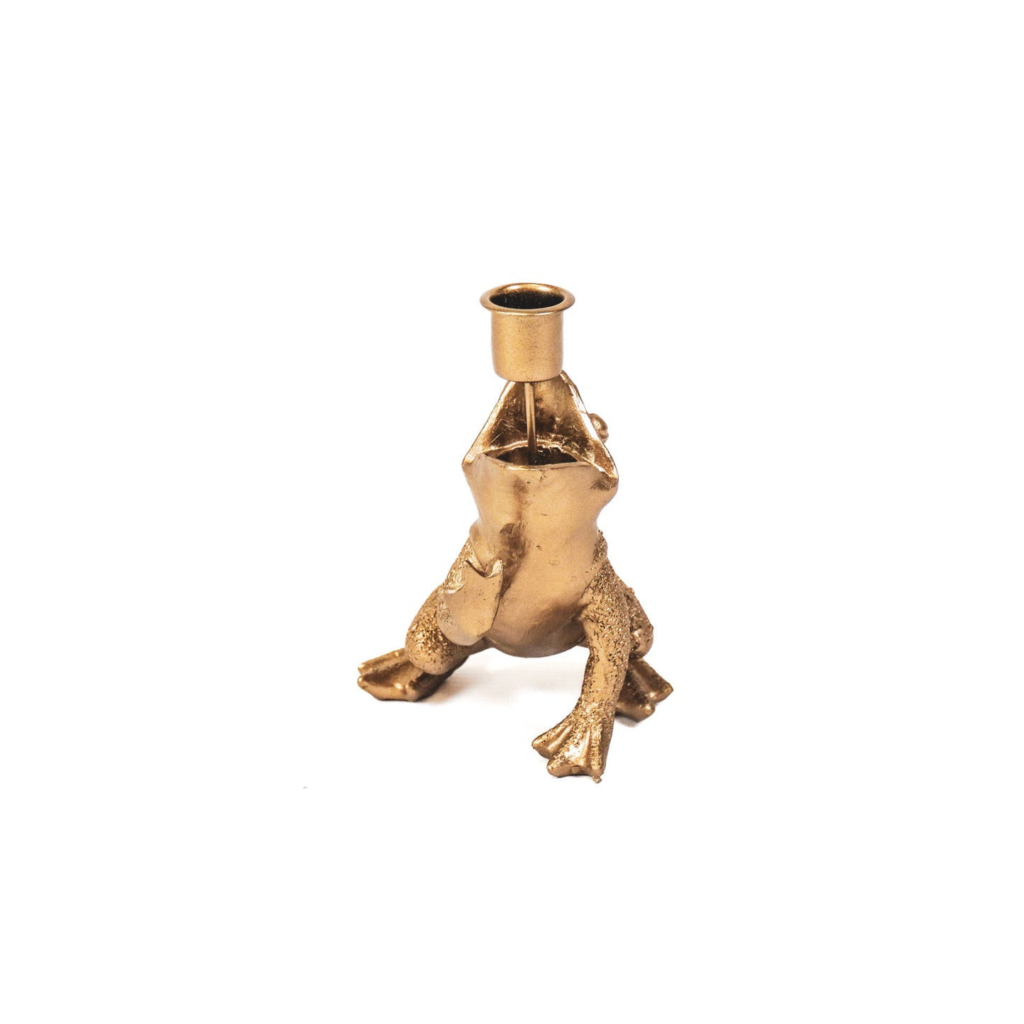 HV Kikkerprins Goud 10,5x14x11cm