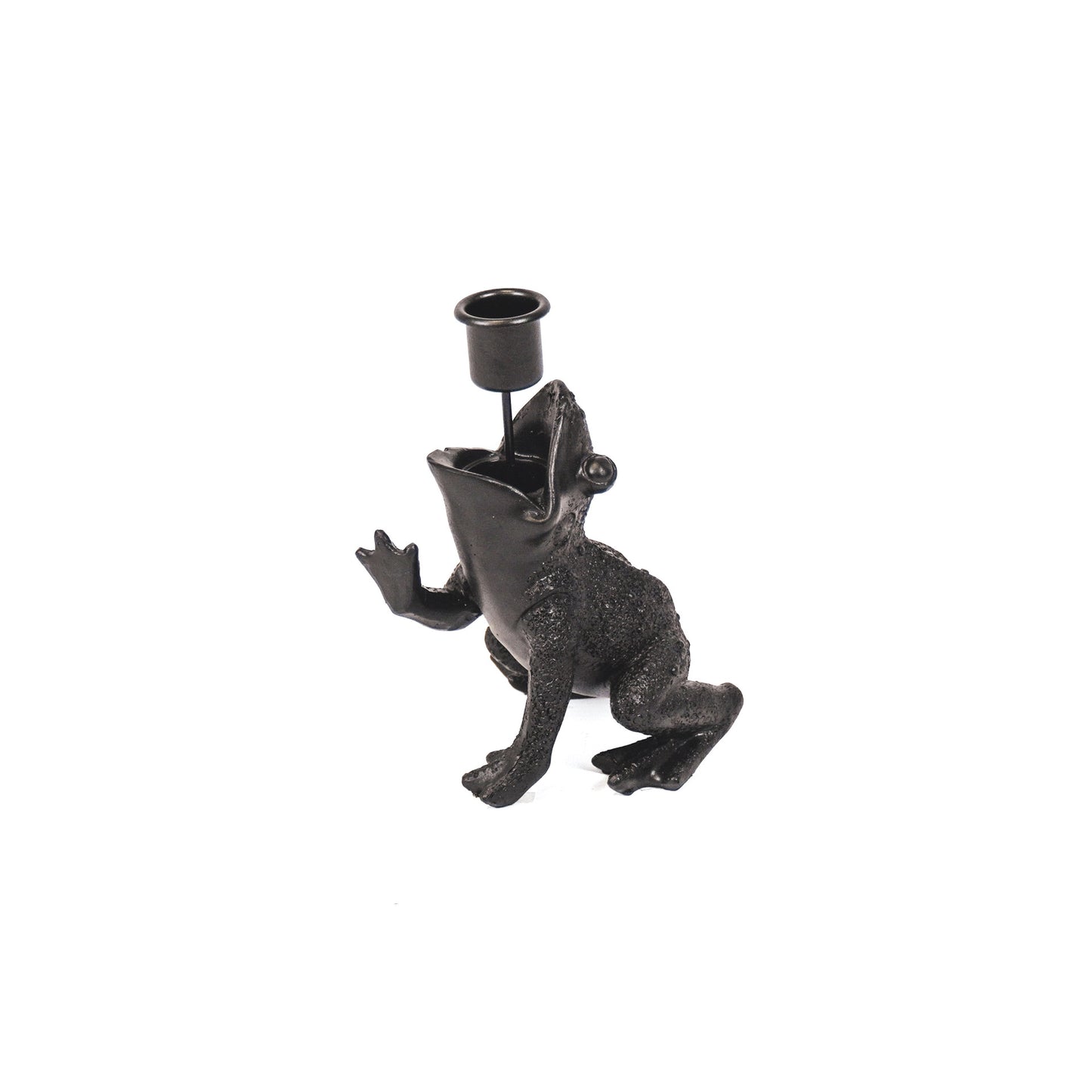 HV Kikkerprins Zwart 10,5x14x11cm