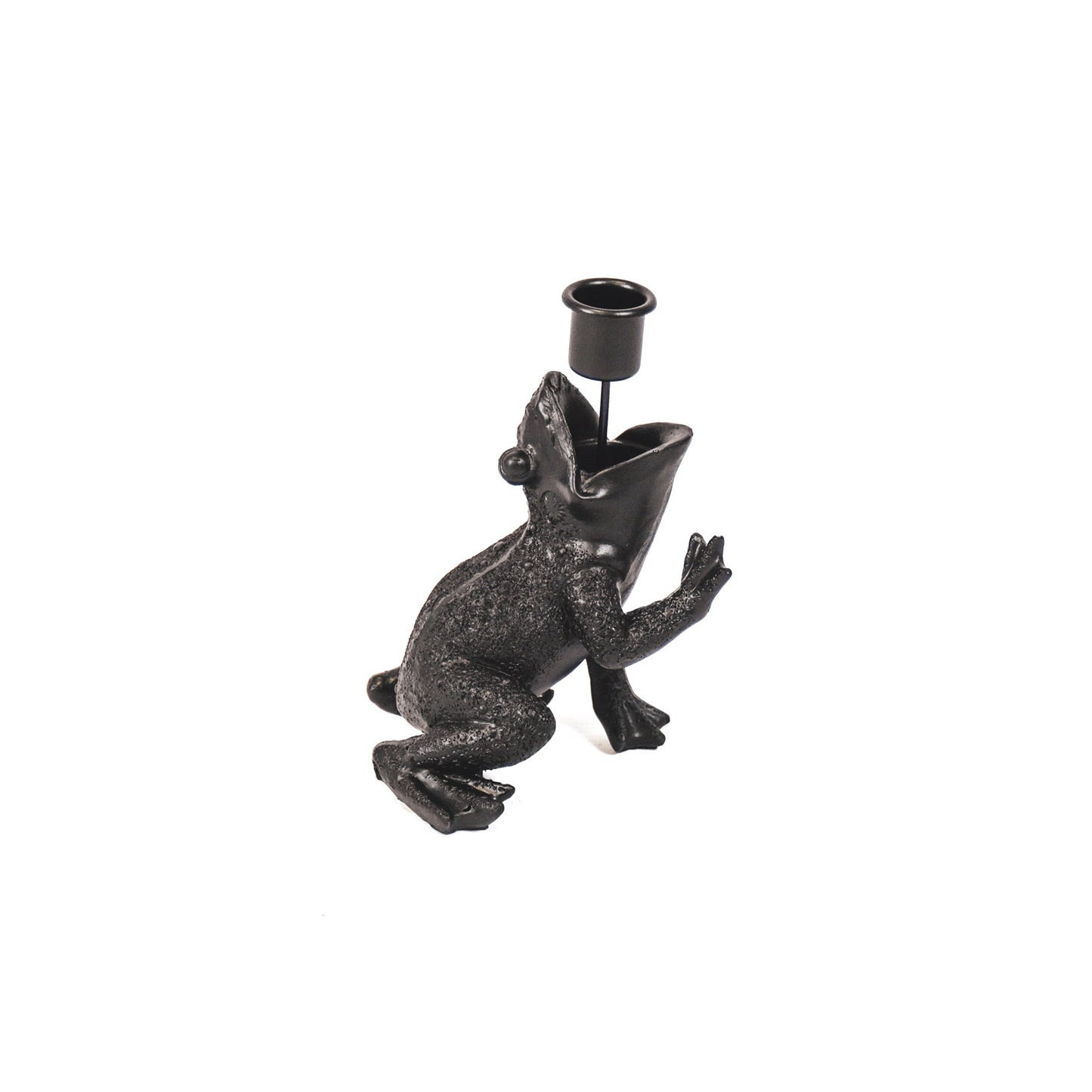 HV Kikkerprins Zwart 10,5x14x11cm