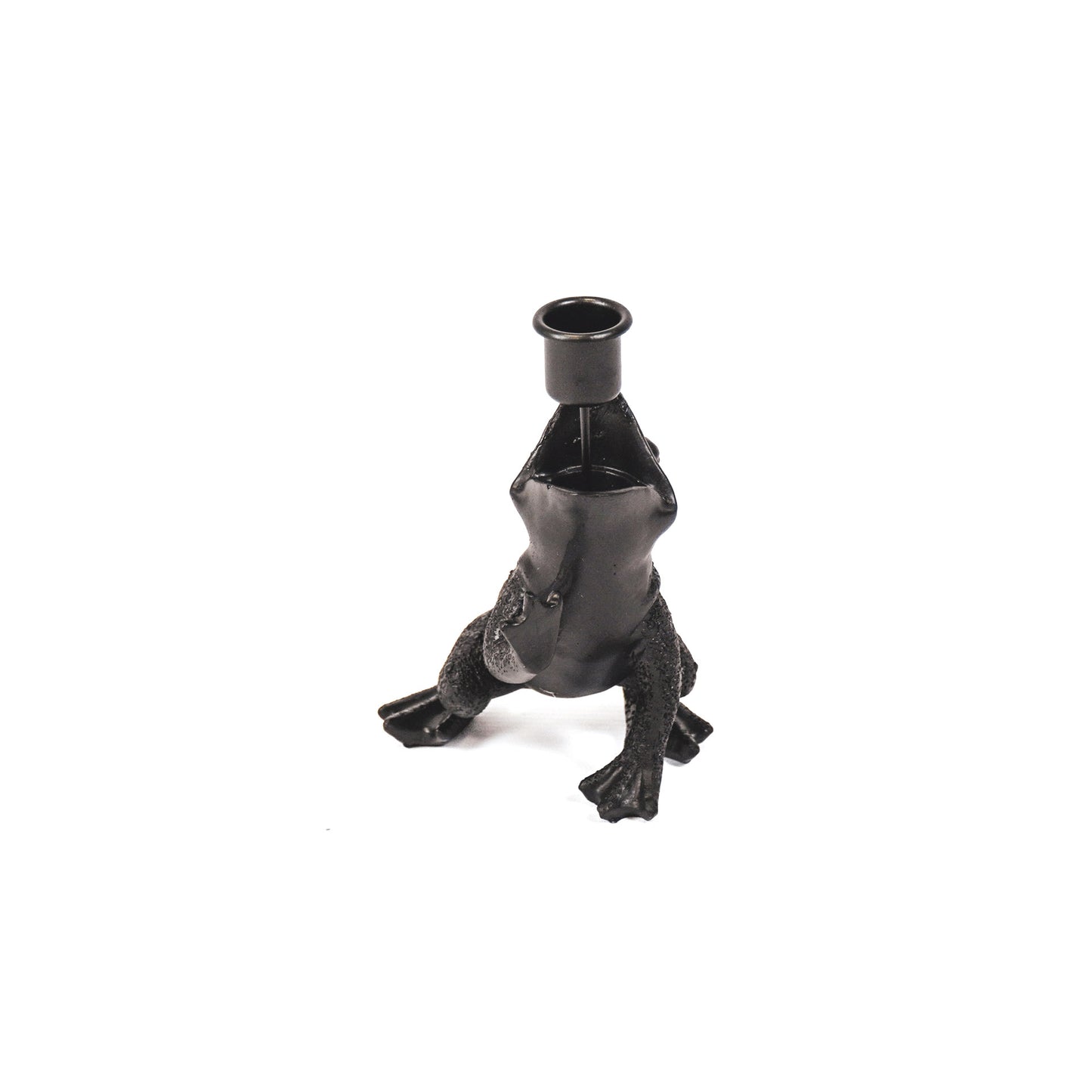 HV Kikkerprins Zwart 10,5x14x11cm