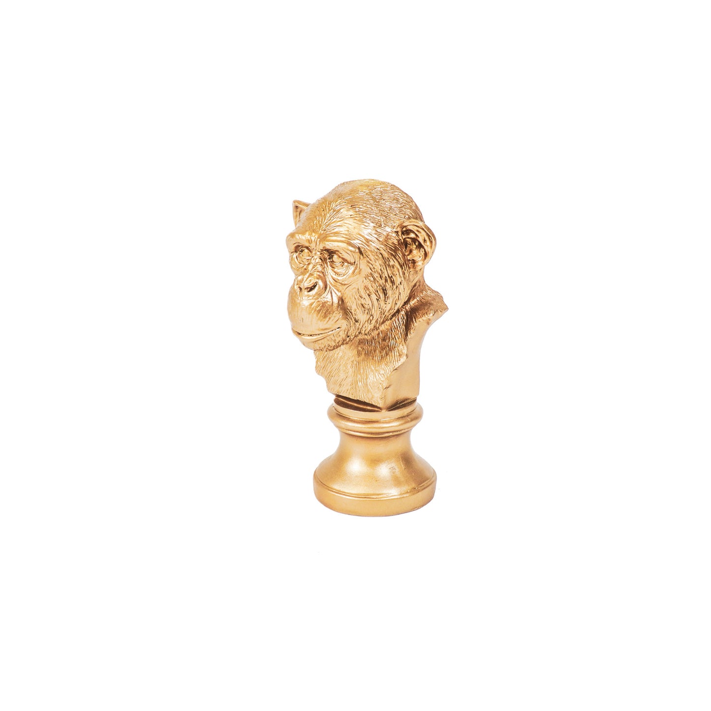 HV Apenkop - Goud - 15.5x15.5x28.5cm