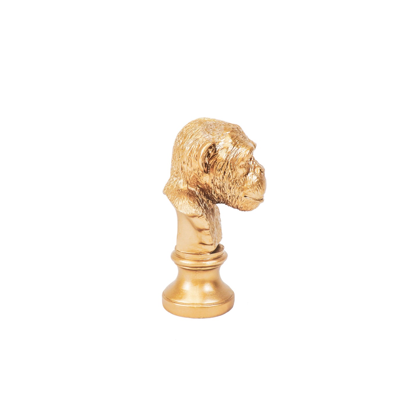 HV Apenkop - Goud - 15.5x15.5x28.5cm