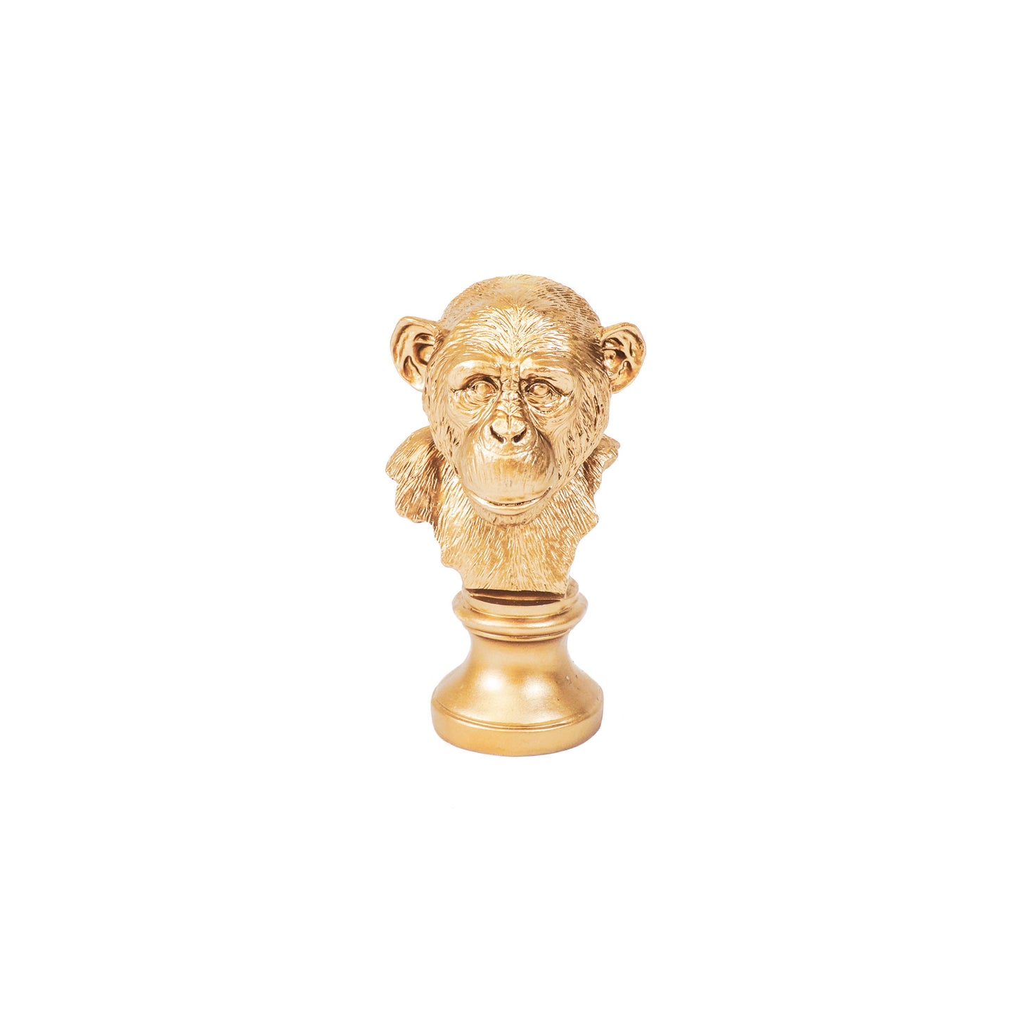 HV Apenkop - Goud - 15.5x15.5x28.5cm
