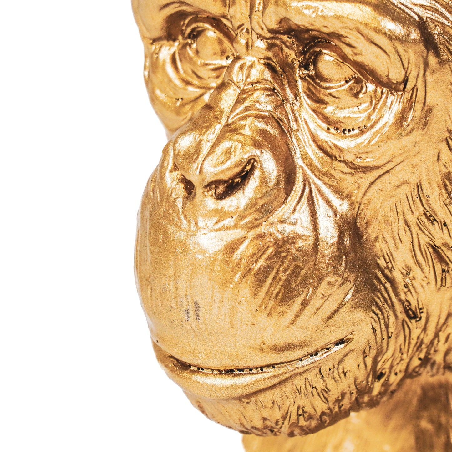HV Apenkop - Goud - 15.5x15.5x28.5cm