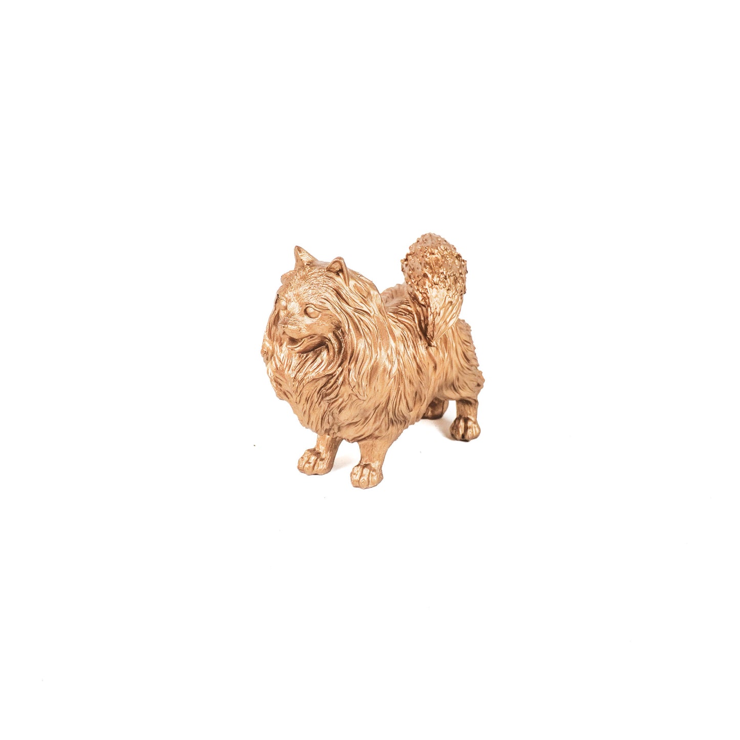 HV Pomeriaan Hond - Goud - 23x10x18cm