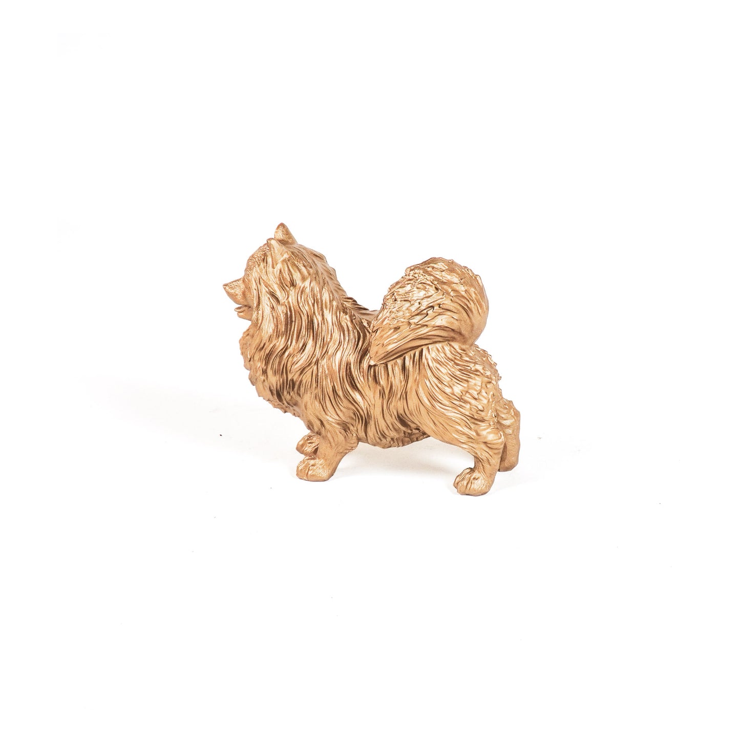 HV Pomeriaan Hond - Goud - 23x10x18cm