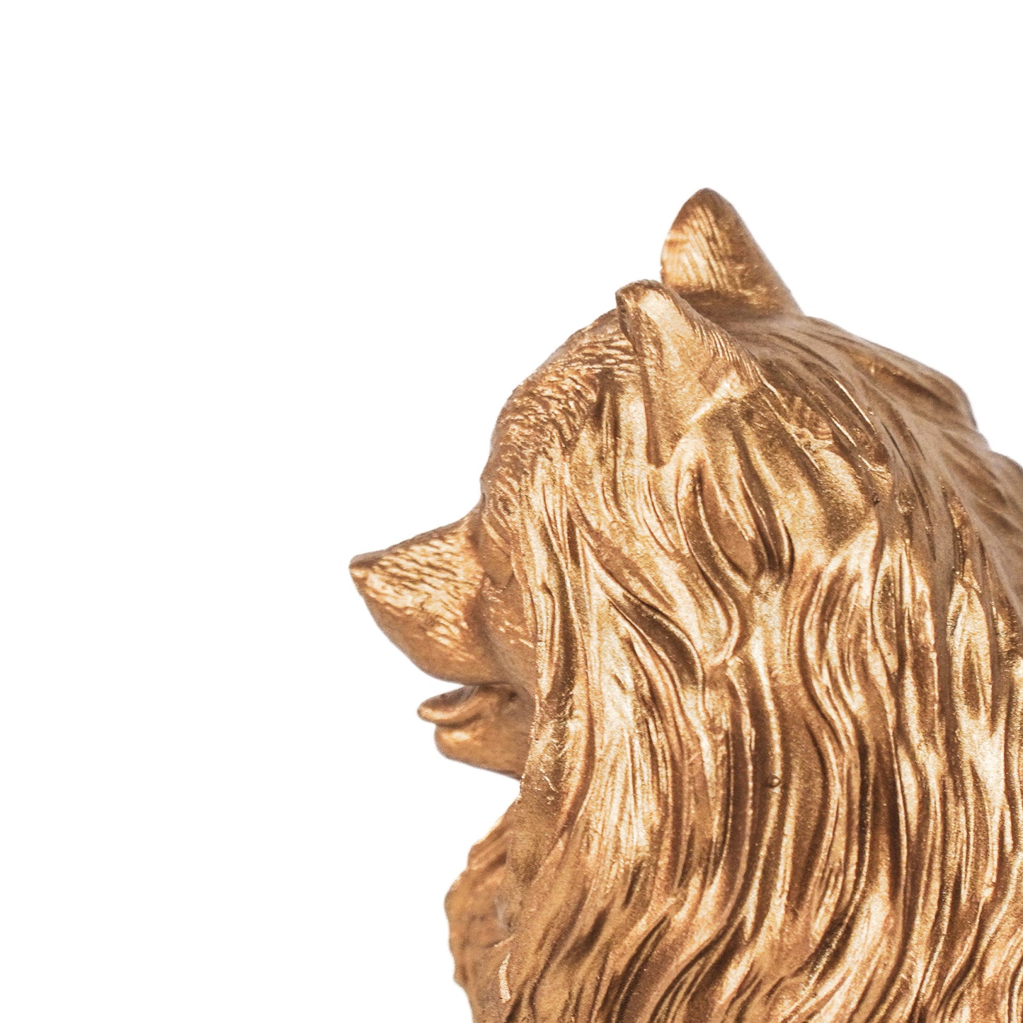 HV Pomeriaan Hond - Goud - 23x10x18cm