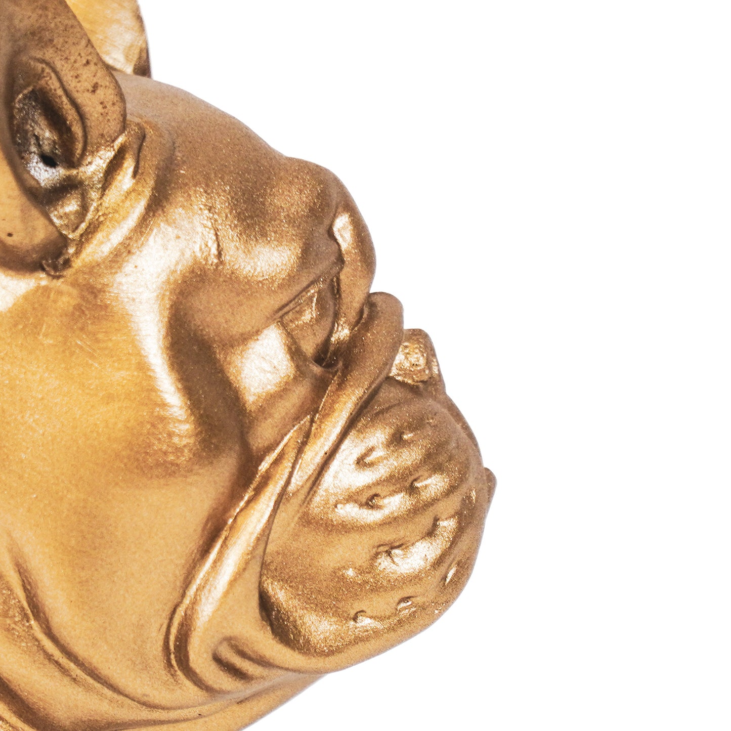 HV Bulldog - Goud -19x13.5x19cm