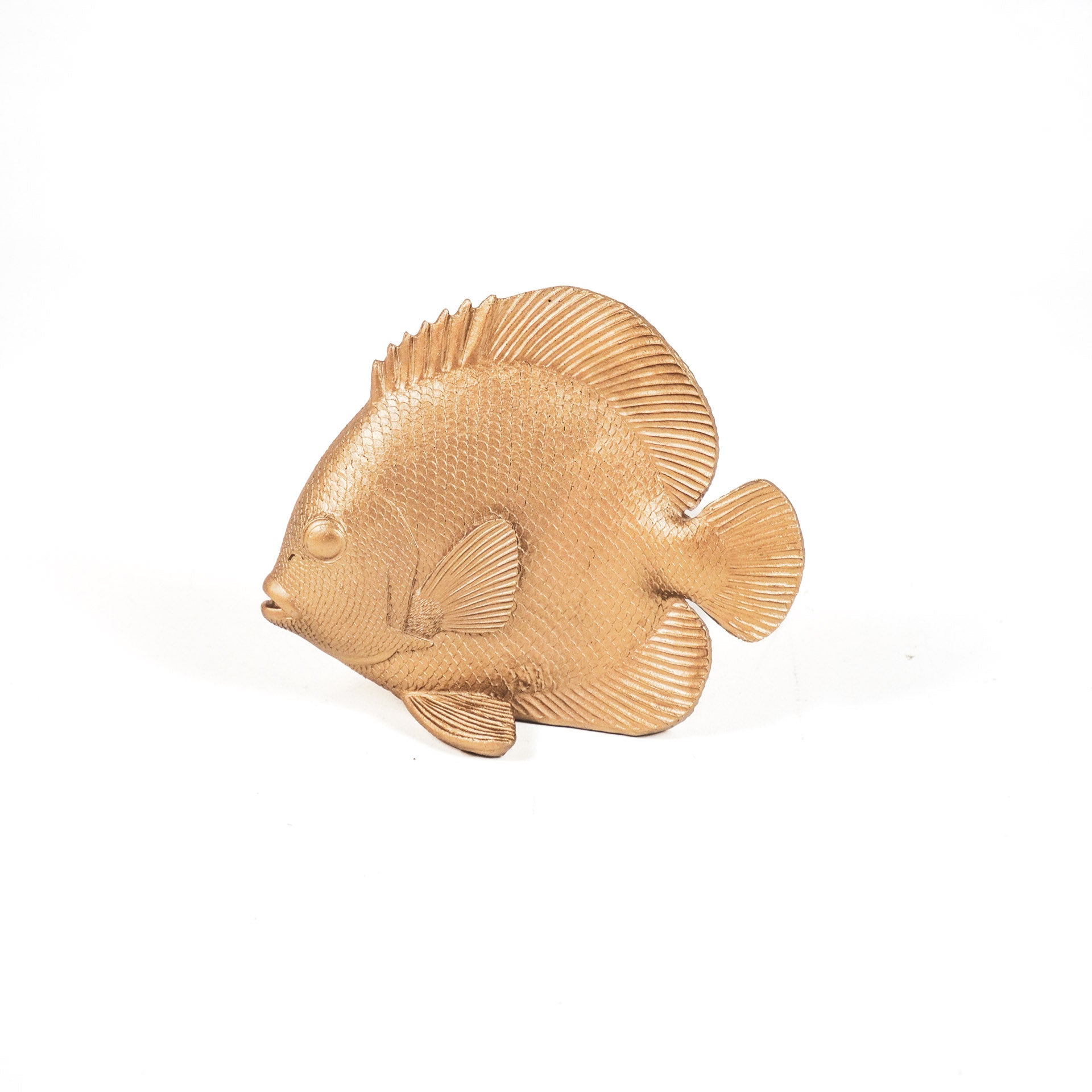 Ornament - Platvis - Polyresin - Goud - 19,5x10,5x16cm