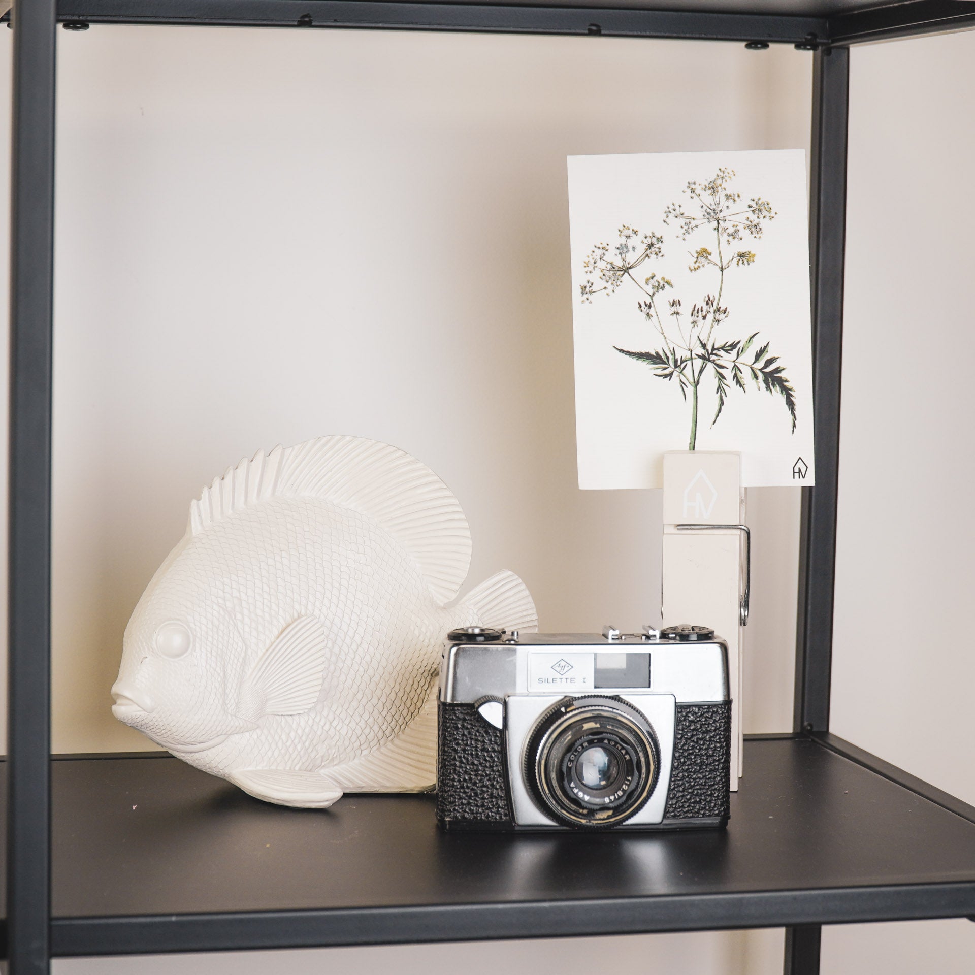 Ornament - Platvis - Polyresin - Beige - 19,5x10,5x16cm