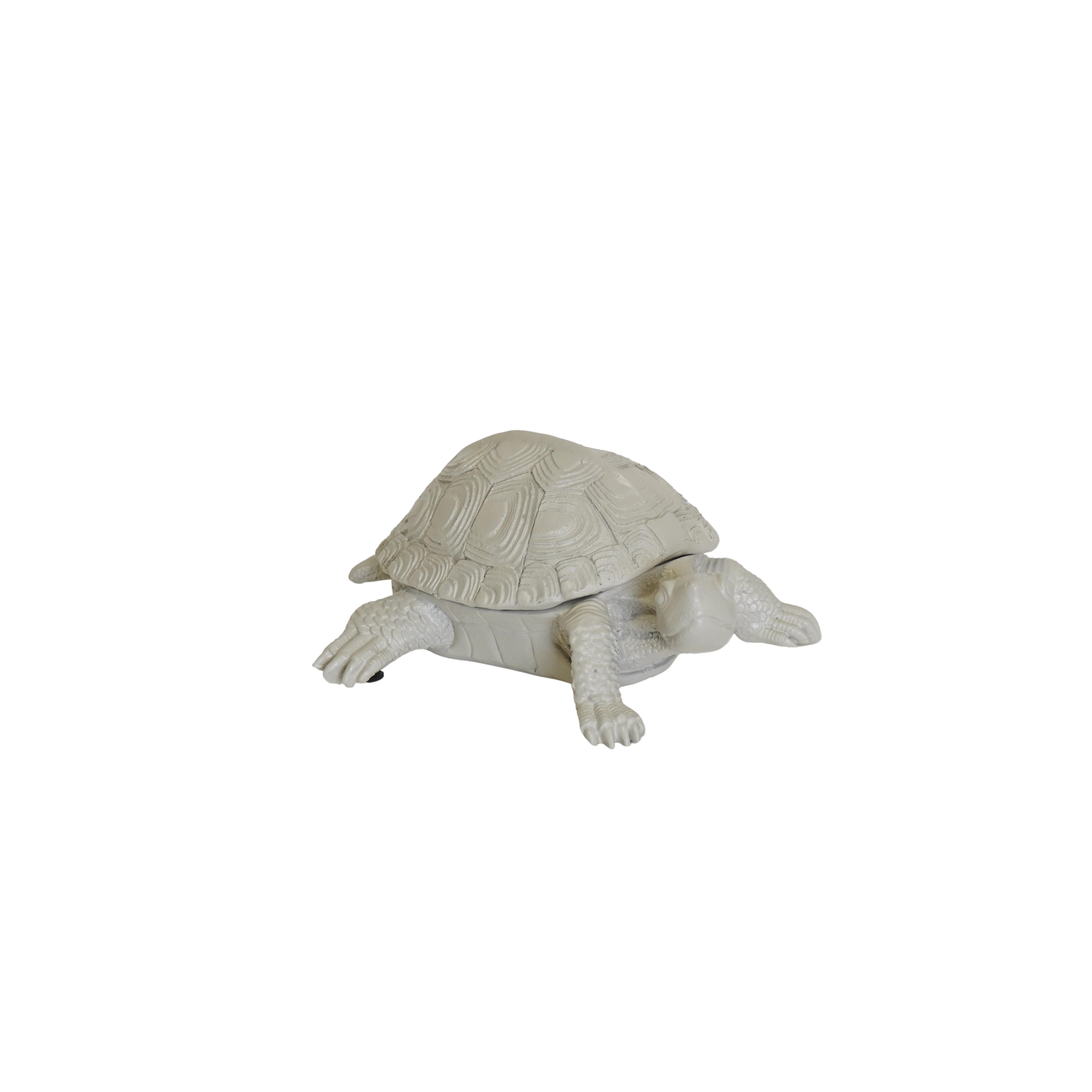 Ornament - Schildpad Box - Polyresin - Beige - 15.5x13.5x7.5cm