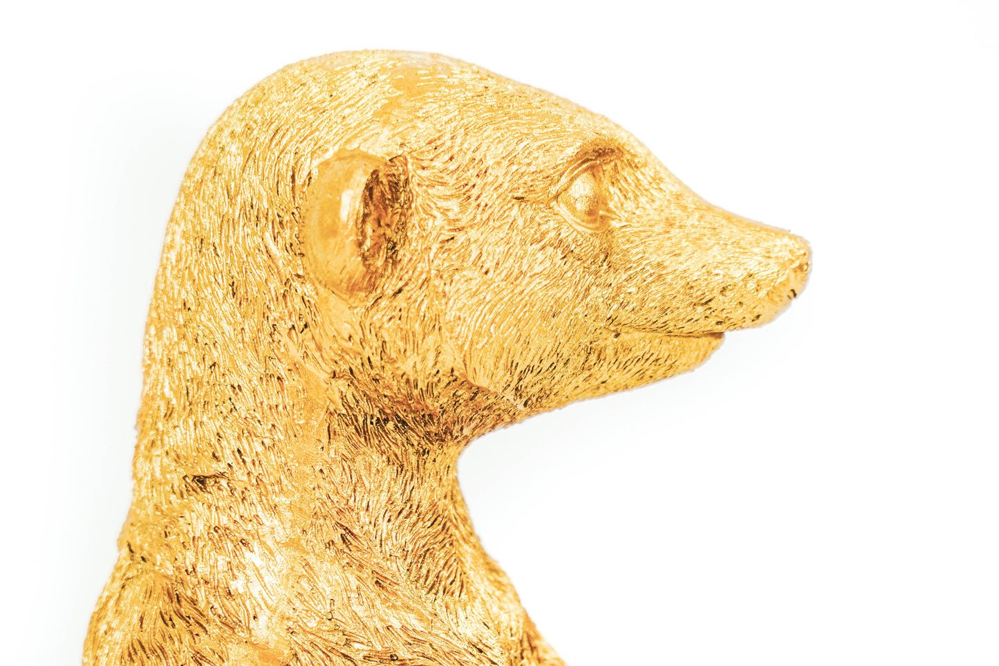 HV Stokstaart Beeld - Goud - 11x36cm