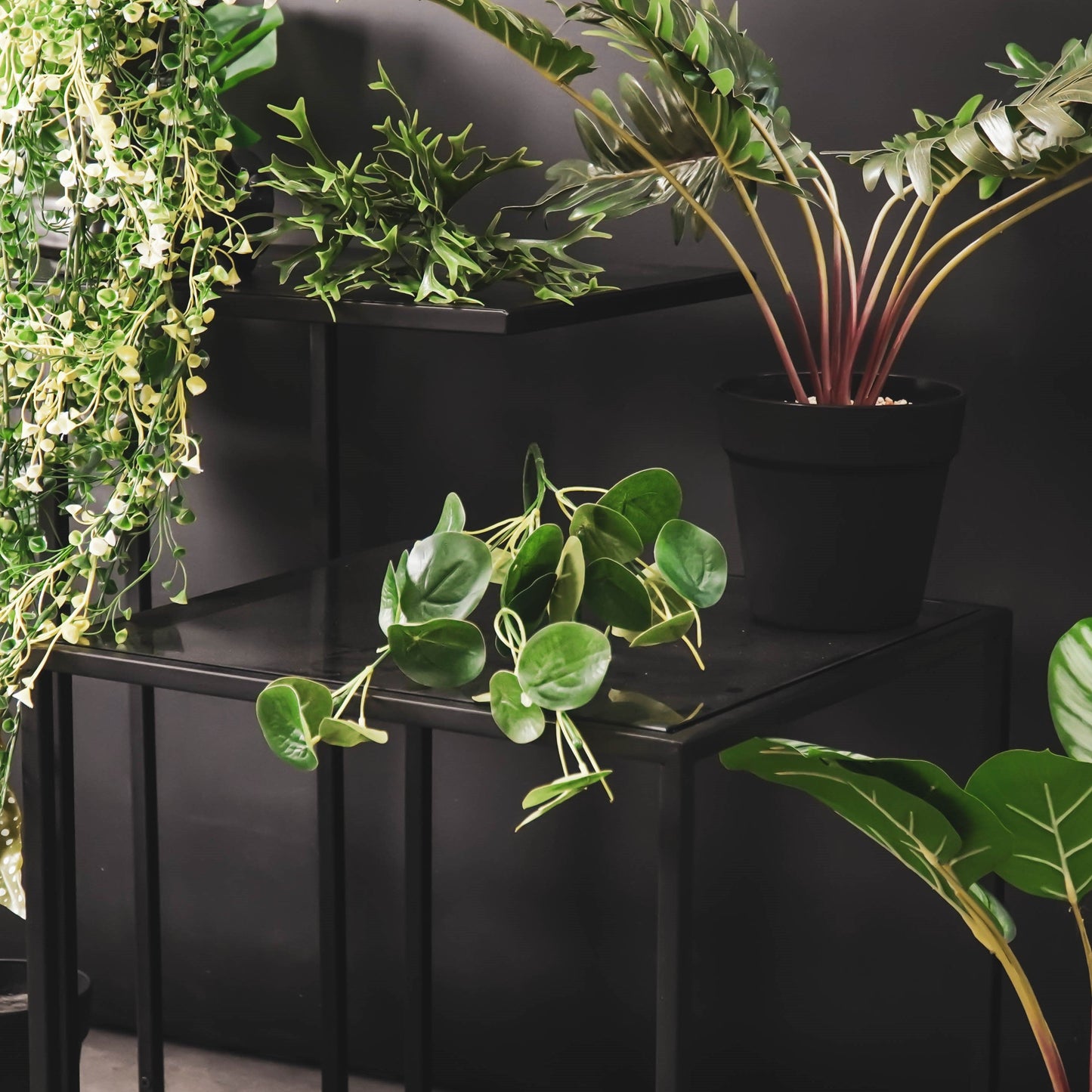HV Eucalyptus Lange Bos - Groen - 10x16x65cm