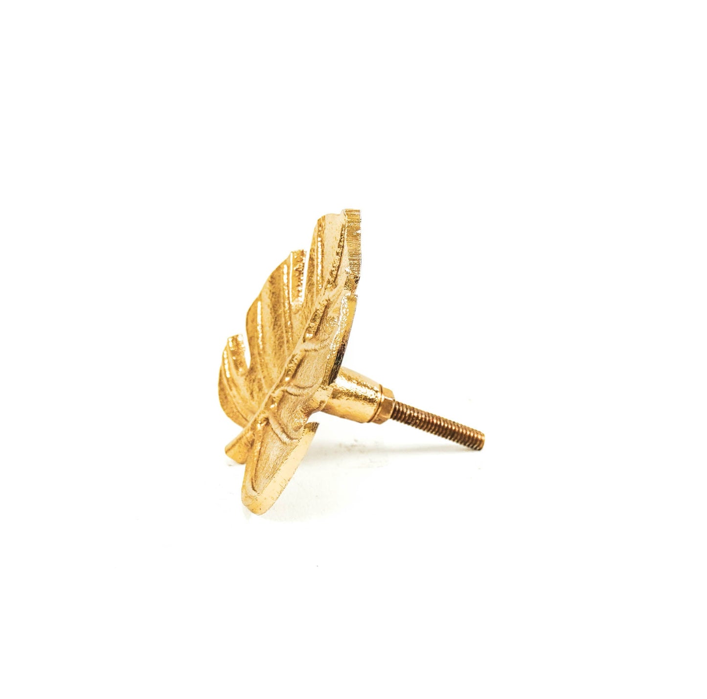HV Monstera Deurknoppenset - Goud - 12x8x12cm