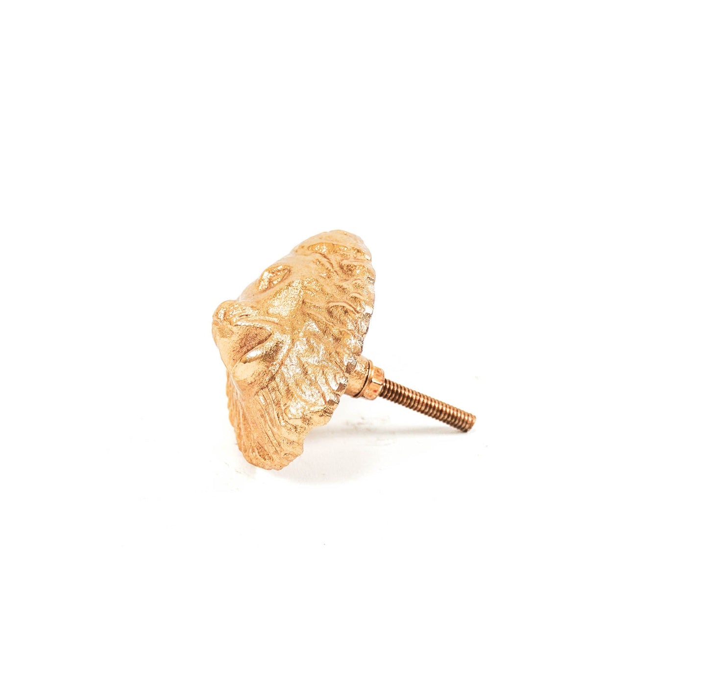 HV Leeuw Deurknoppenset - Goud - 8x8x5cm
