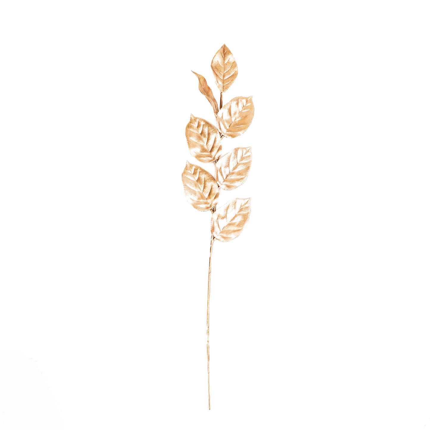 HV Tak met Blaadjes - Goud - 12 x 57 cm - Kunststof