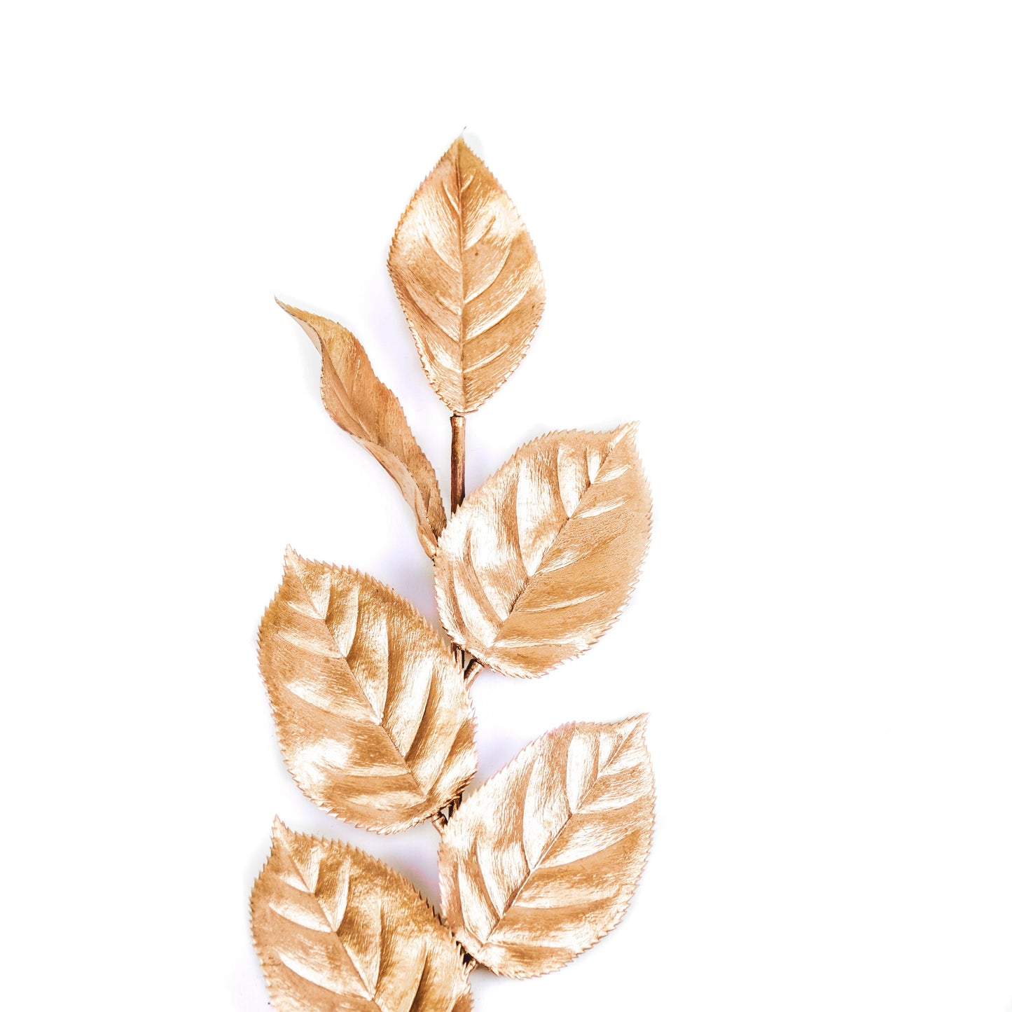 HV Tak met Blaadjes - Goud - 12 x 57 cm - Kunststof