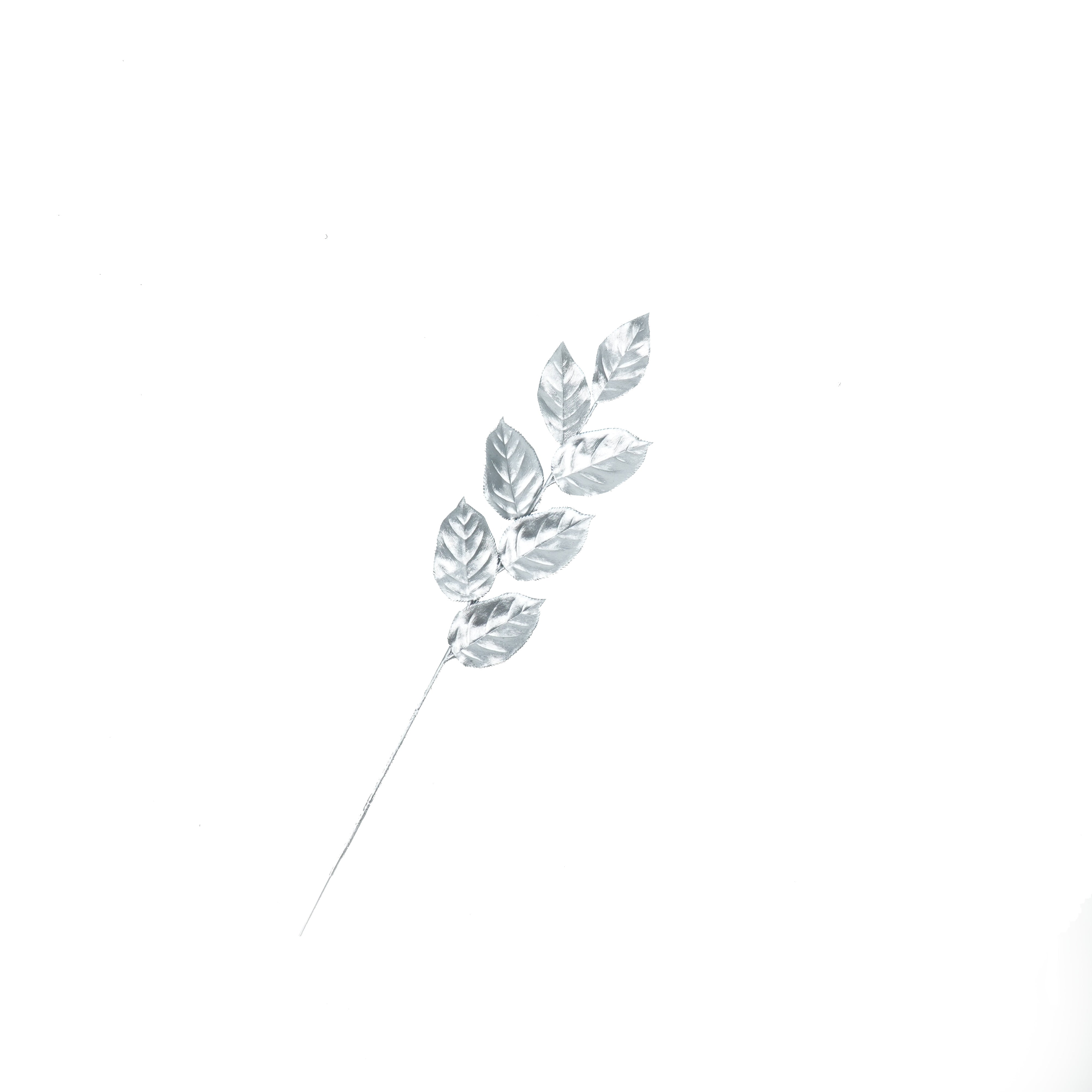 Tak met Blaadjes - Kunststof - Zilver - 12x57cm