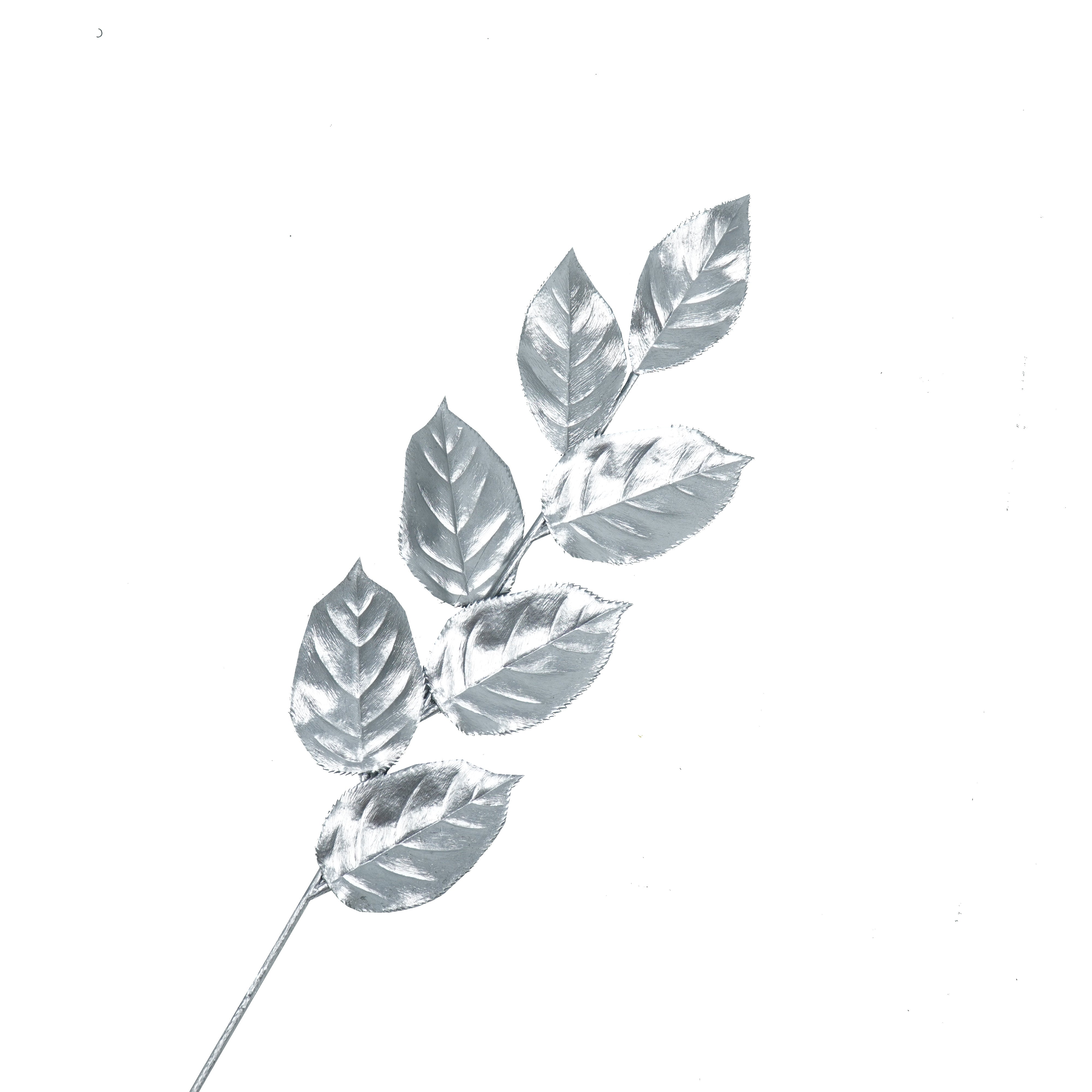 Tak met Blaadjes - Kunststof - Zilver - 12x57cm