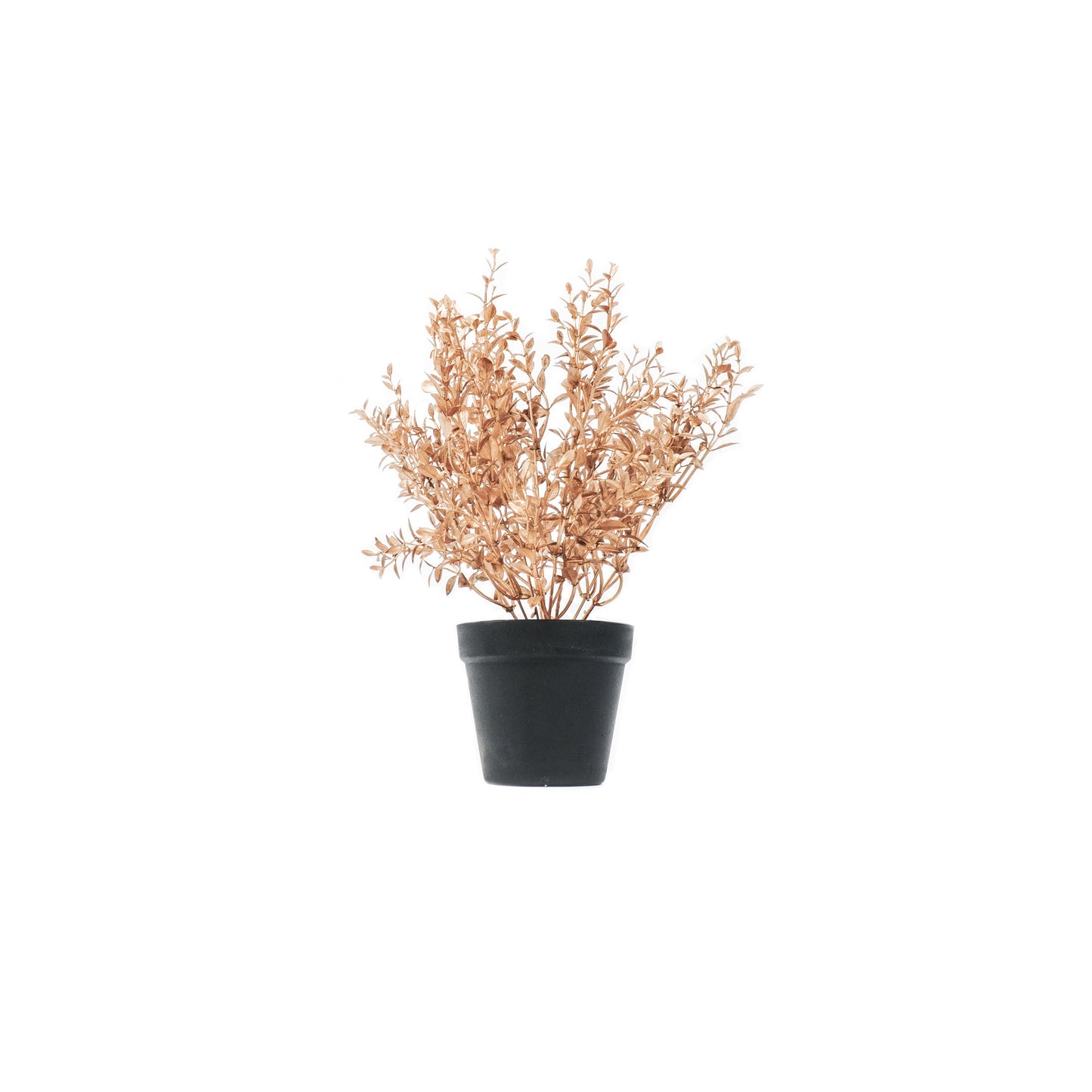 HV Plant in Pot - Goud/Zwart - Kunststof