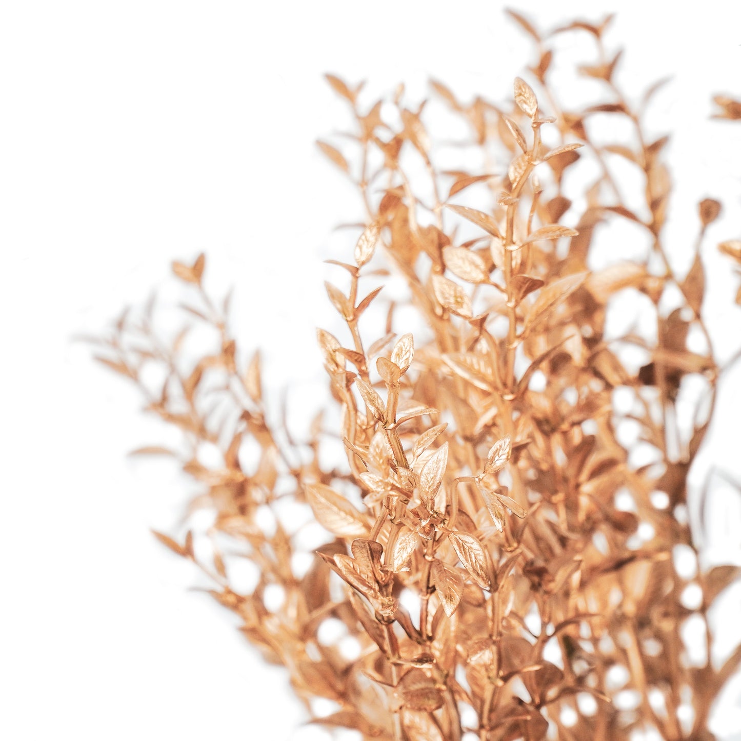 HV Plant in Pot - Goud/Zwart - Kunststof