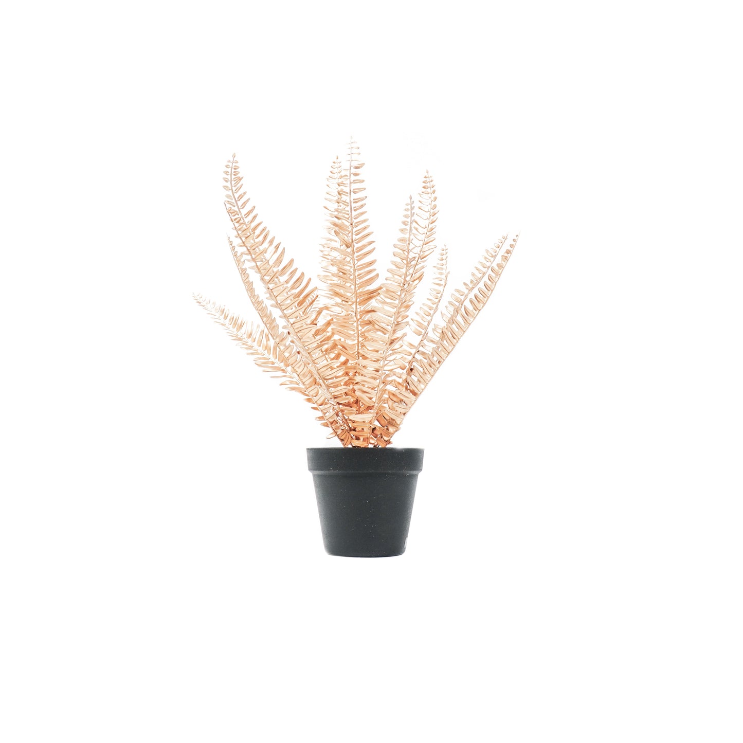 HV Varen Kunstplant - Goud/Zwart - 15x30x45cm