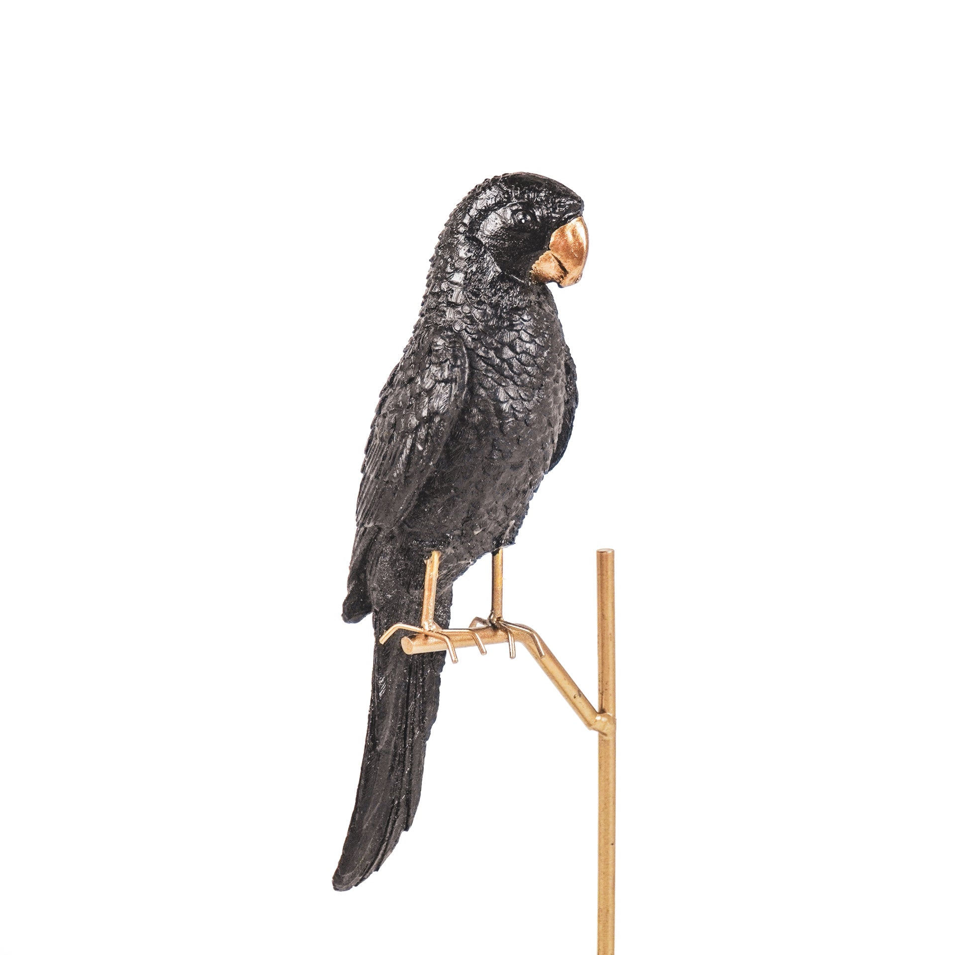 Ornament - Papegaai op Stok - Zwart/Goud - 8.5x11x44cm
