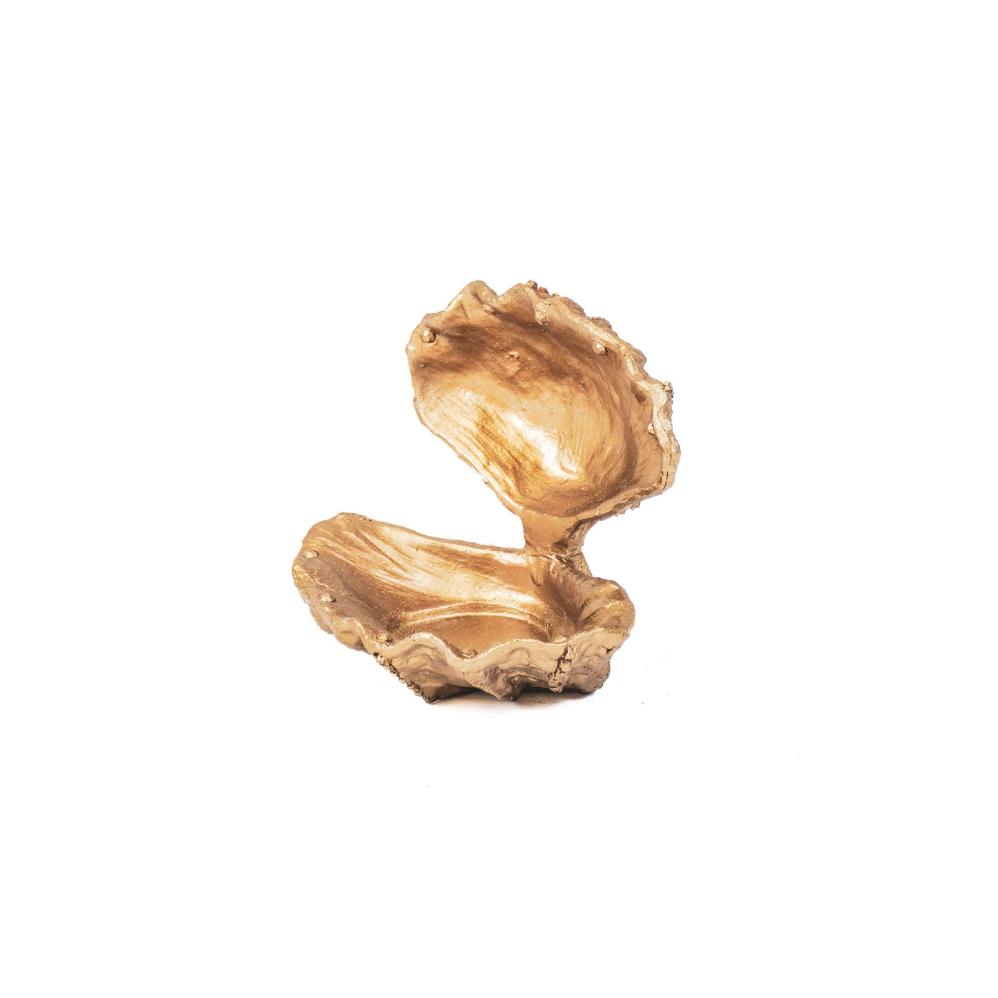 Ornament - Schelp - Polyresin - Goud -12.5x11.5x12cm