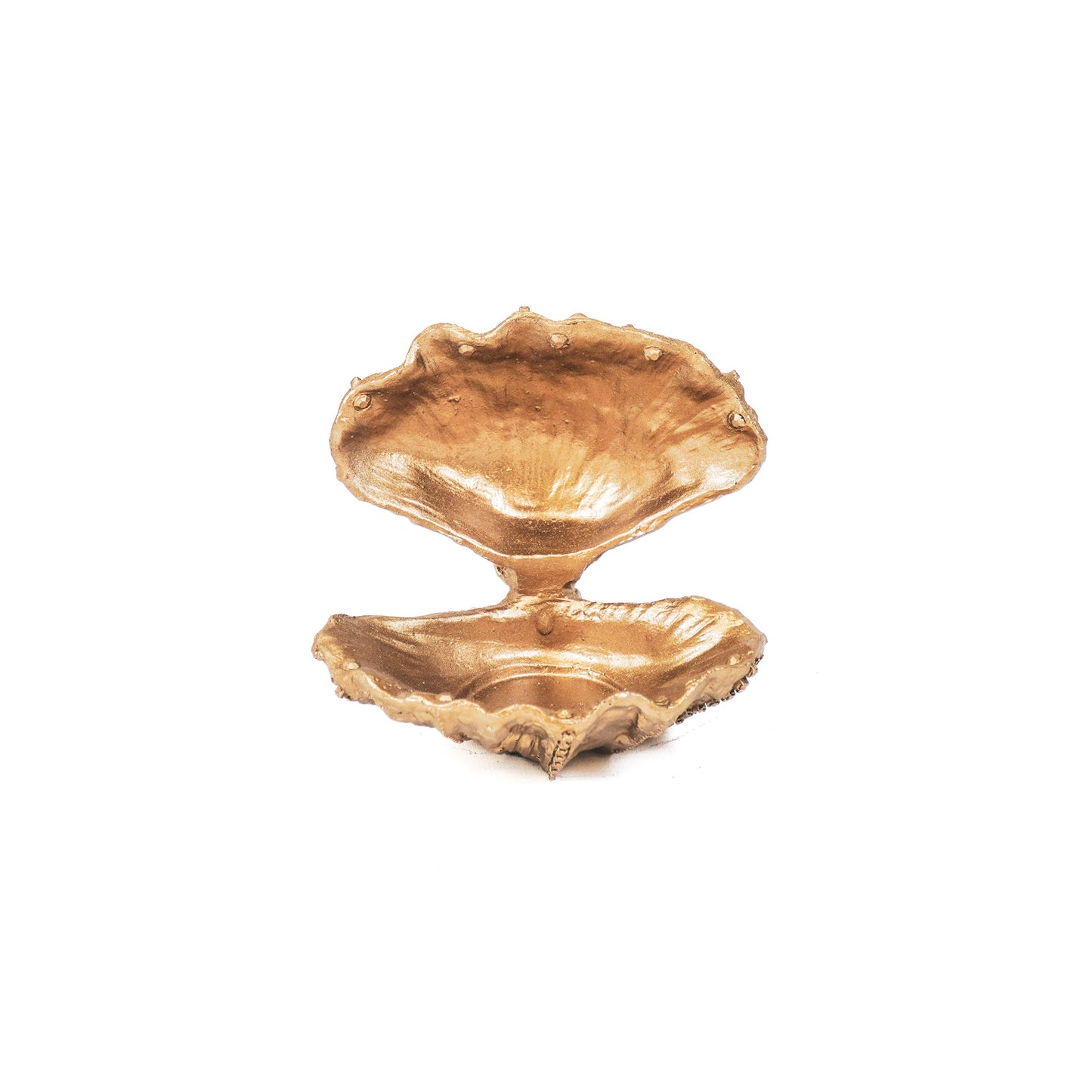 Ornament - Schelp - Polyresin - Goud -12.5x11.5x12cm