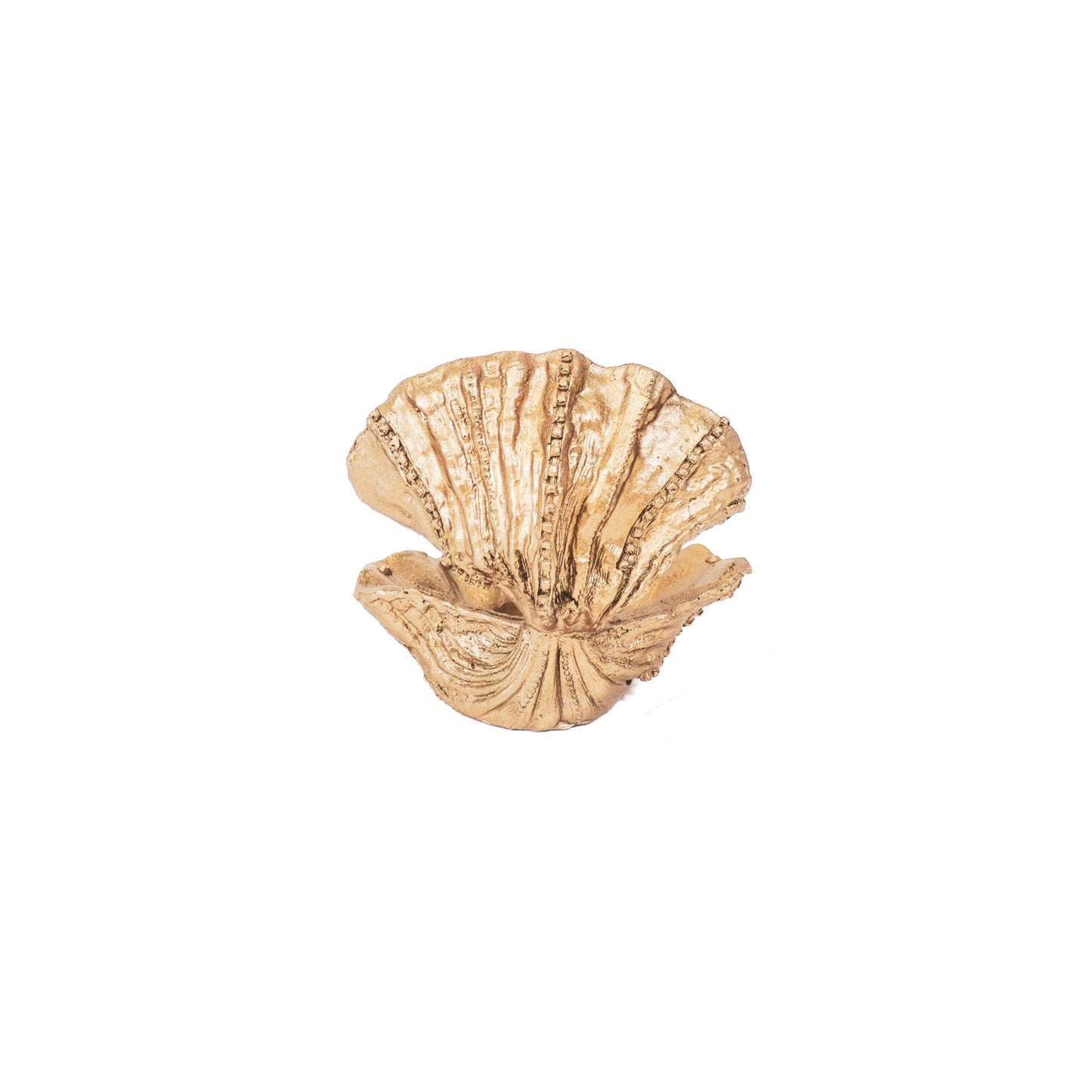 Ornament - Schelp - Polyresin - Goud -12.5x11.5x12cm