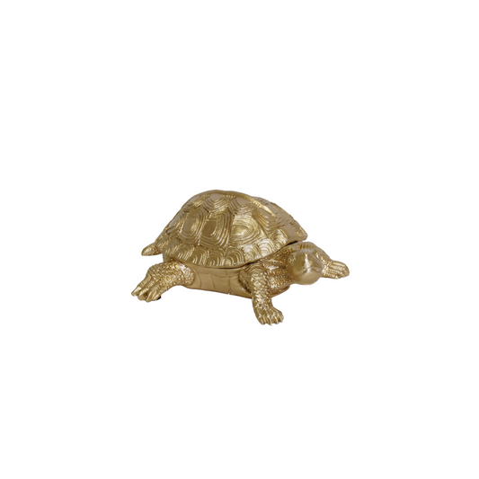 Ornament - Schildpad Box - Polyresin -  Goud - 15.5x13.5x7.5cm