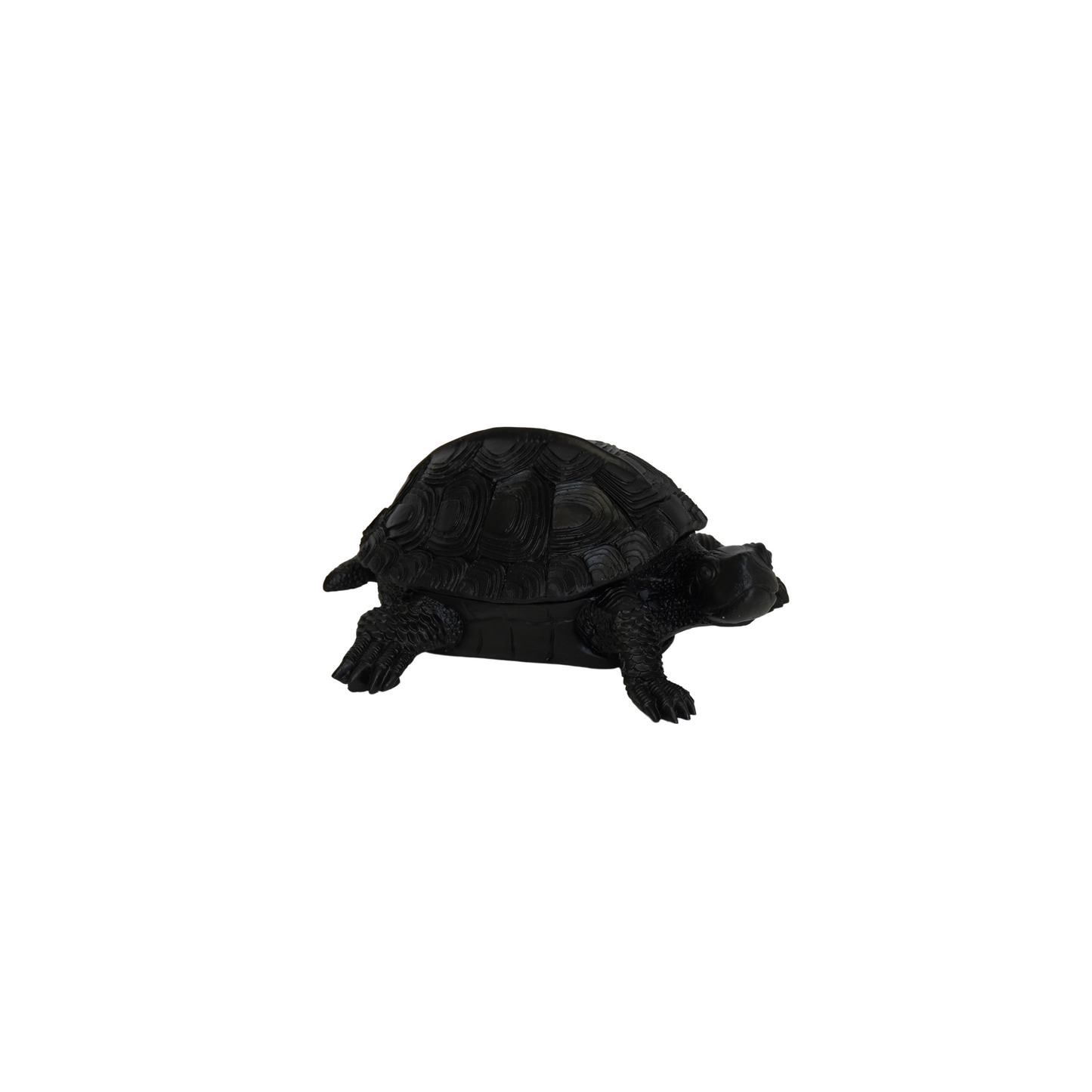 Ornament - Schildpad Box - Polyresin - Zwart - 15.5x13.5x7.5cm