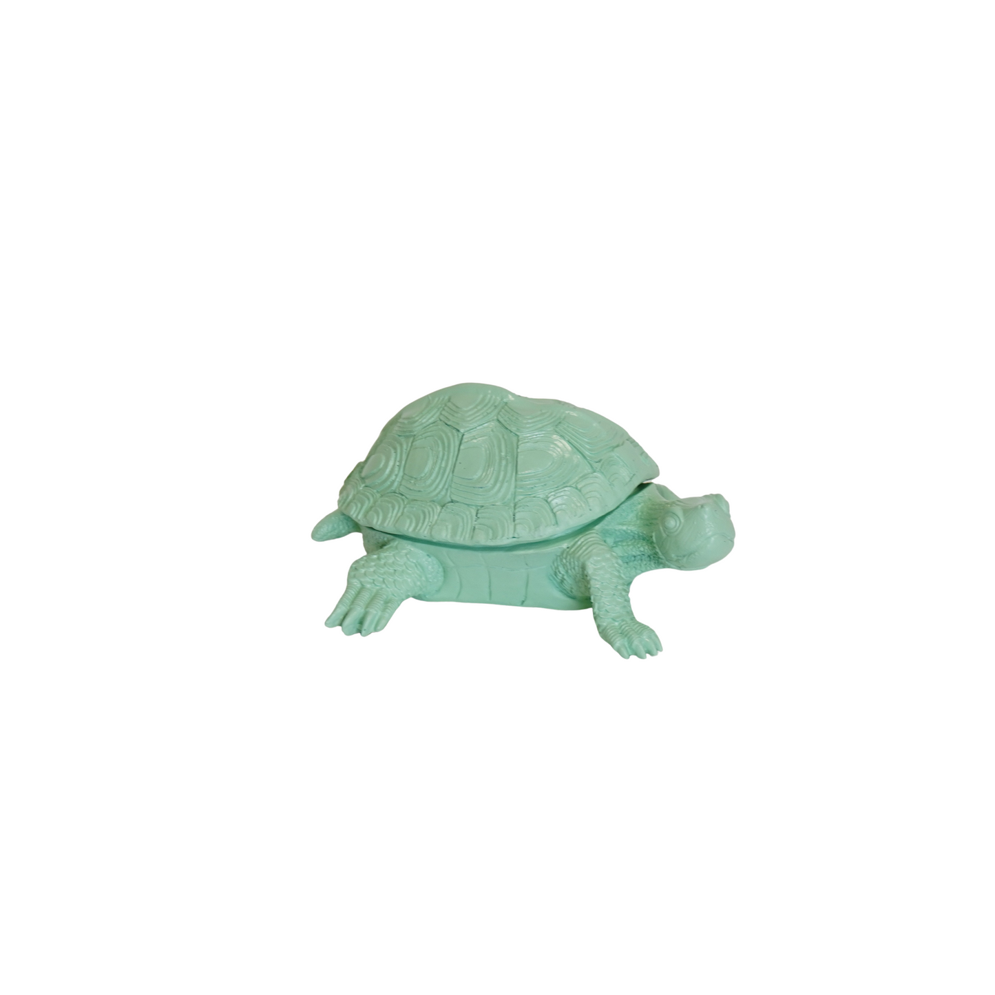 Ornament - Schildpad Box - Polyresin - Mintgreen - 15.5x13.5x7.5cm