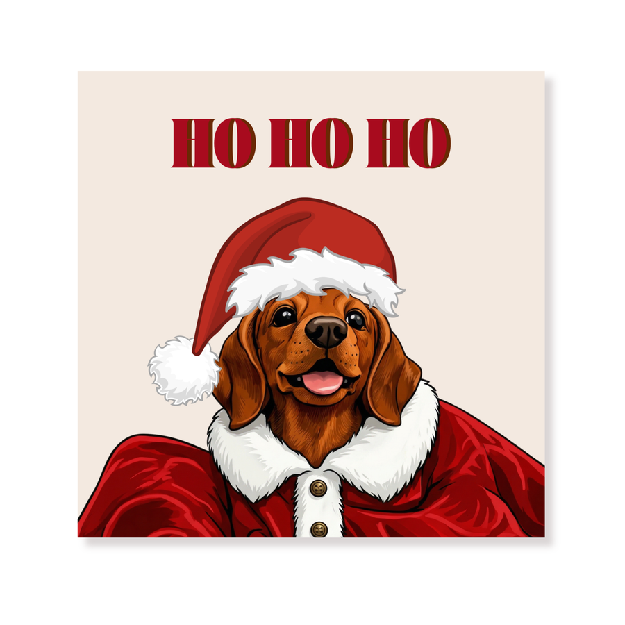 Paper Napkins “Ho Ho Ho” –Display Pack 12 Packs