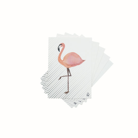 HV Ansichtkaart Flamingo - A6 - Set van 5