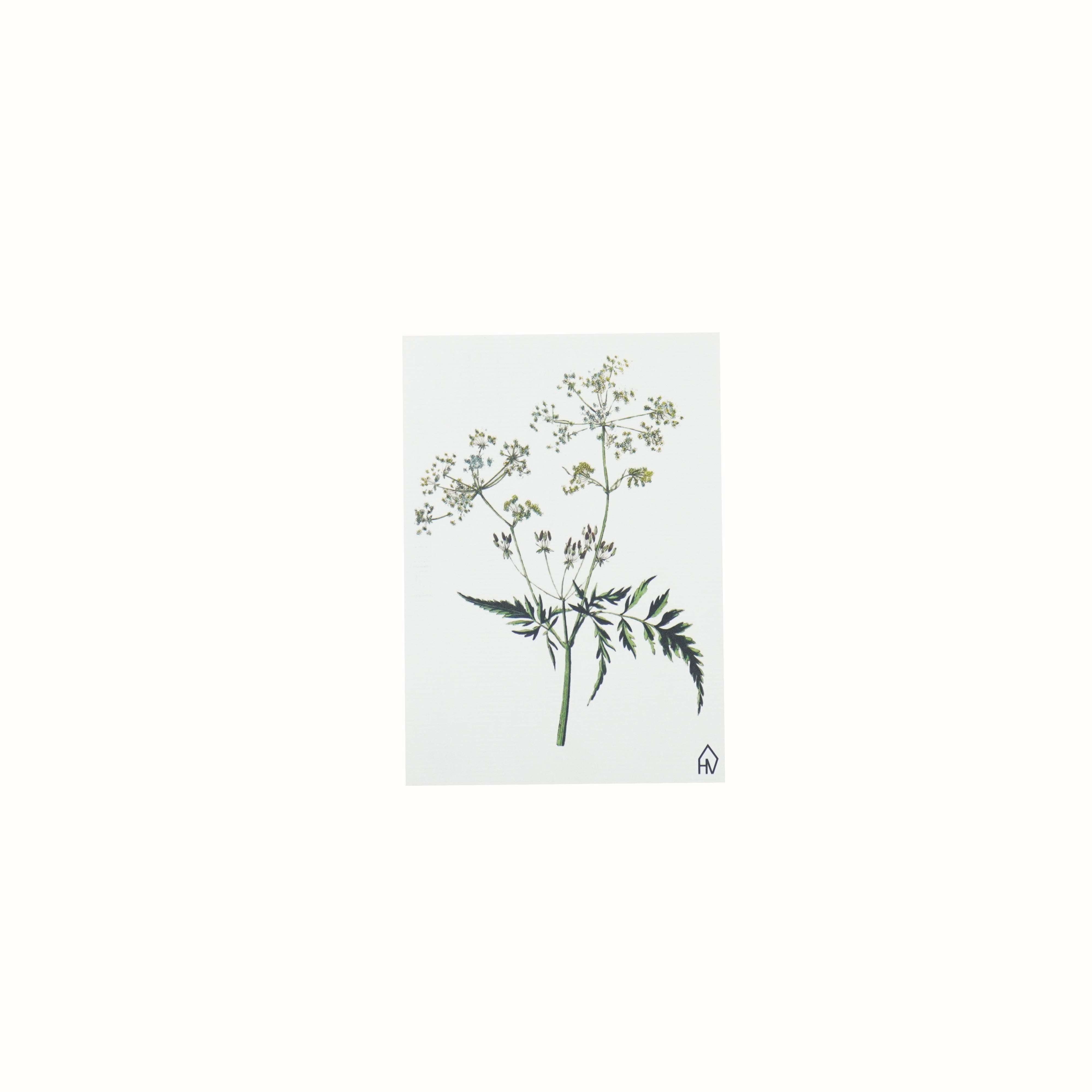 kaart met plant en natuur