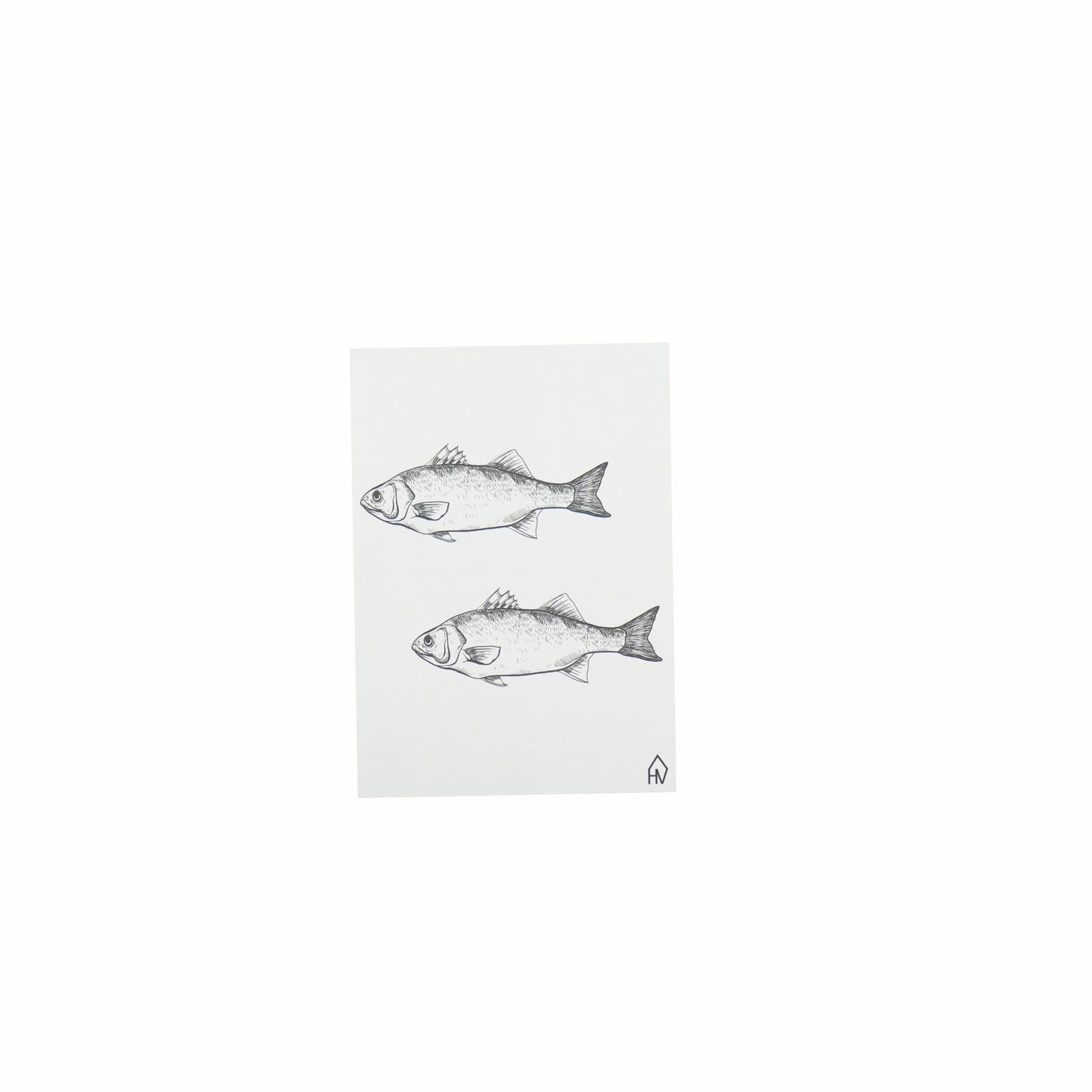 ansichtkaart met twee vissen wit 