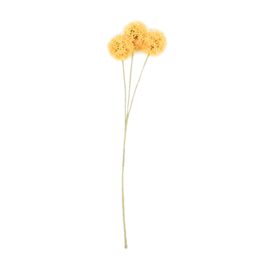 Housevitamin  Allium Tak - Geel - 20x65cm - Kunststof